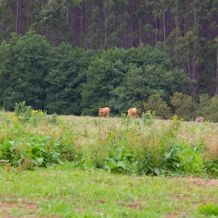 Casa Rico De Medín Pensión O Pino