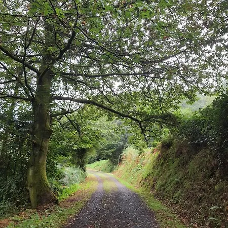 Casa Rico De Medín Pensión