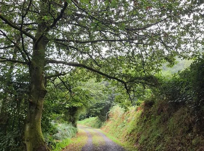 Casa Rico De Medin Konukevi